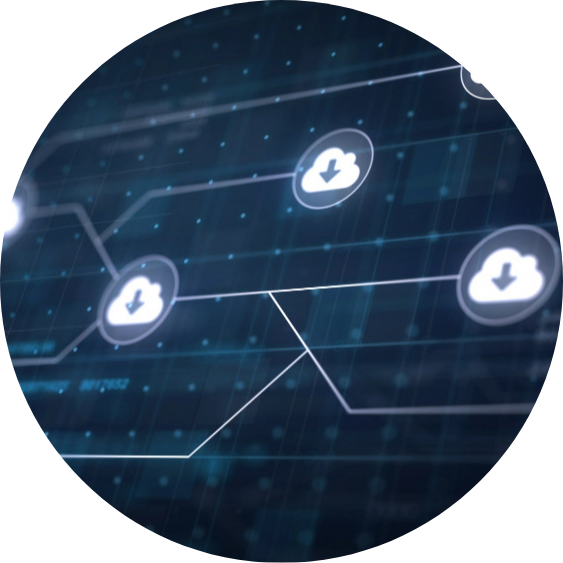 WordPress Website Migration Services